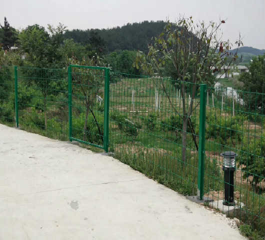 阳新水果/蔬菜基地