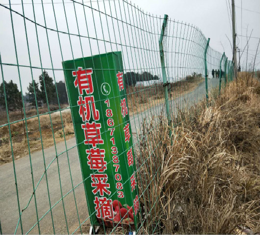 <font color='#FF0000'>红安草莓园基地围</font>