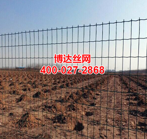 1525415989275862.jpg 6.jpg