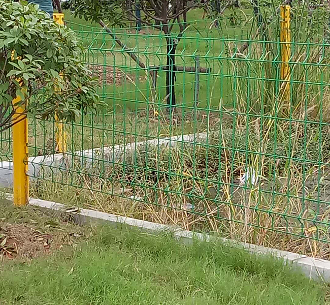 花坛围栏网2.jpg